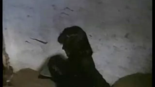 सर्वश्रेष्ठ पोर्न कोई पंजीकरण  प्यारा ब्राजील किशोर सेक्सी मूवी हिंदी माई सह