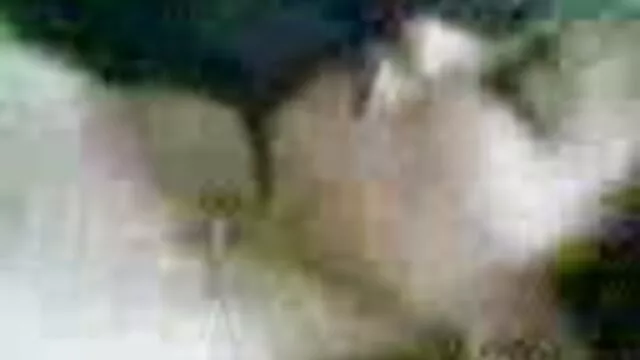 सर्वश्रेष्ठ पोर्न कोई पंजीकरण  परिवार के सेक्सी मूवी एक्स एक्स एक्स एक्स लड़के -2 XX